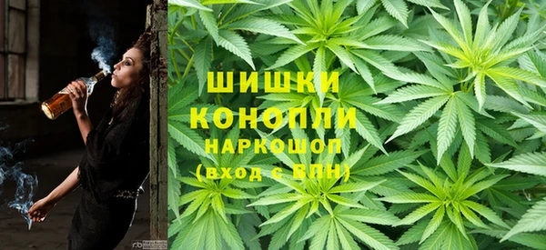 гидропоника Алзамай