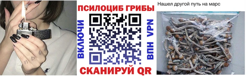 Псилоцибиновые грибы мухоморы  хочу   Нея 
